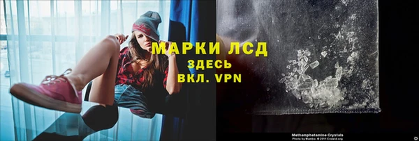 PSILOCYBIN Чекалин
