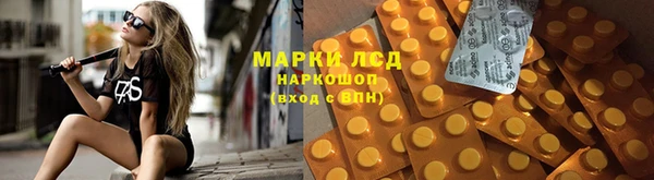 PSILOCYBIN Чекалин