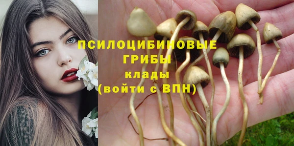 PSILOCYBIN Алексеевка
