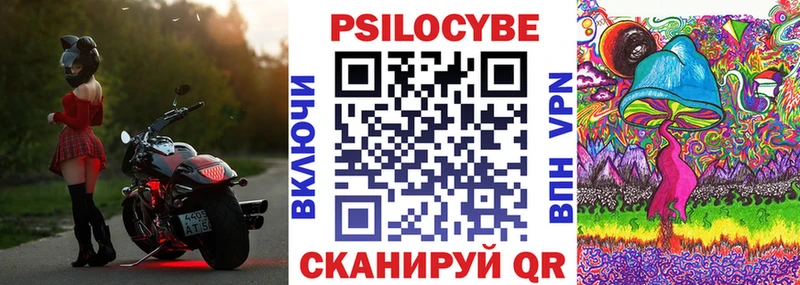 ссылка на мегу ССЫЛКА shop как зайти Галлюциногенные грибы Psilocybine cubensis Евпатория